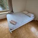 Center Flats With Balcony - Rigi Appartement Zurich