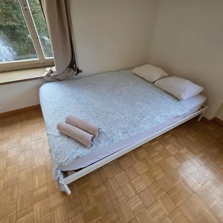 Center Flats With Balcony - Rigi Appartamento Zurigo