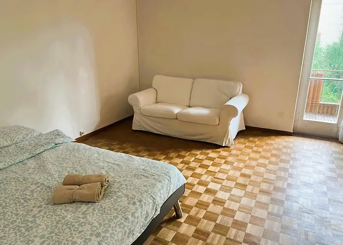 Center Flats With Balcony - Rigi Apartment Zurich