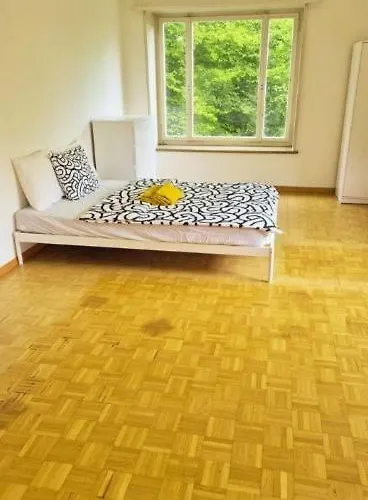 Center Flats With Balcony - Rigi Apartment Zurich