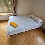 Center Flats With Balcony - Rigi شقة زيورخ