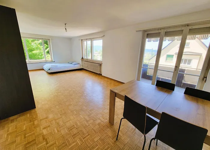 Center Flats With Balcony - Rigi Apartment