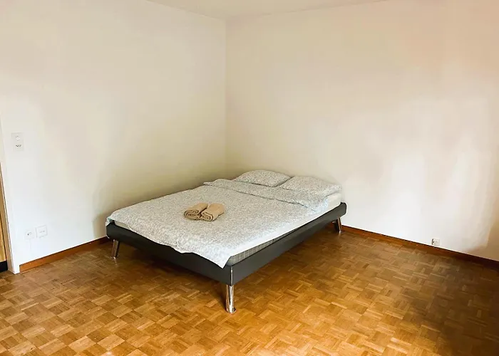 Center Flats With Balcony - Rigi Apartment *