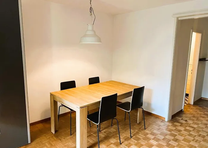 Center Flats With Balcony - Rigi Zurich