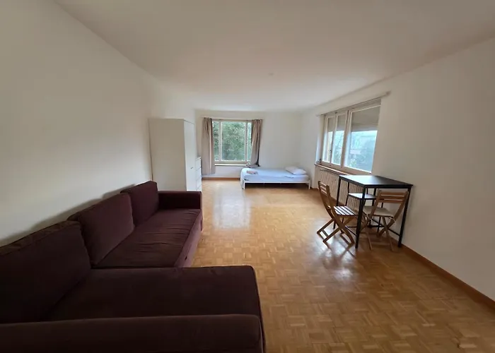 Apartment Center Flats With Balcony - Rigi Zurich