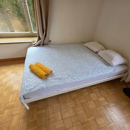 Center Flats With Balcony - Rigi Apartamento Zurique