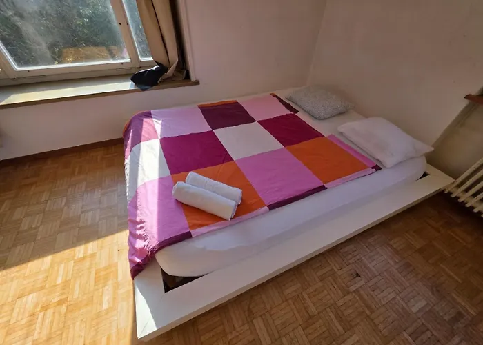 Center Flats With Balcony - Rigi Apartment Zürich